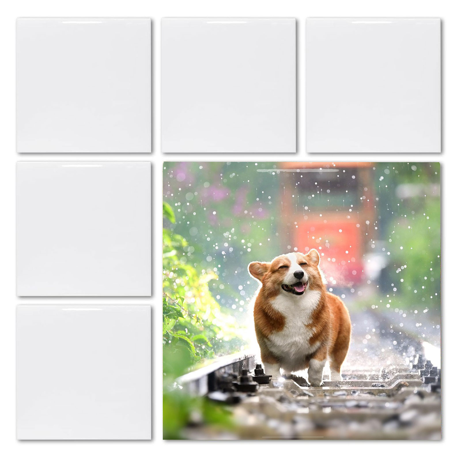 20 шт. 4,25' x 4,25' белых ква – обзор и цена Ceramic Tile Blank